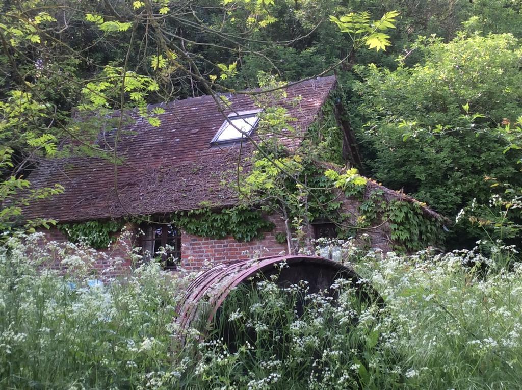 Bed and Breakfast La Boursaie Livarot-Pays-d'Auge Esterno foto